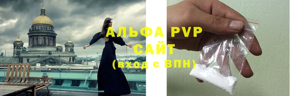 тгк Снежинск