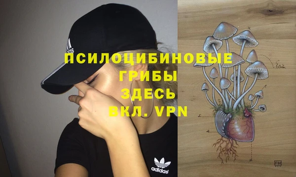а пвп мука Слюдянка